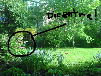 gardenview1.jpg