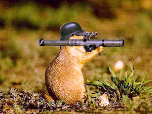 Killer Gerbil.jpg