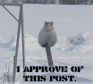 Iapproveofthispost_macro.png